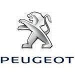 Carte grise Peugeot Partner 1.6L Bluehdi (75Ch) Bvm5 Dangel Trek